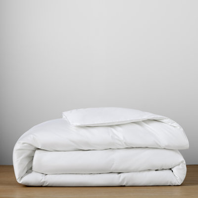 Kleinn Extra Plush Down Alternative Duvet Insert