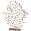 Landscape & Nature Figurines & Sculptures-2055920101