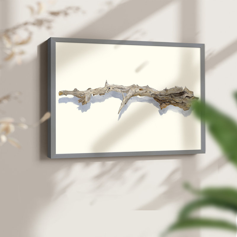 «Driftwood Study I», reproduction encadrée, H 8 po x l 10 po, Gris