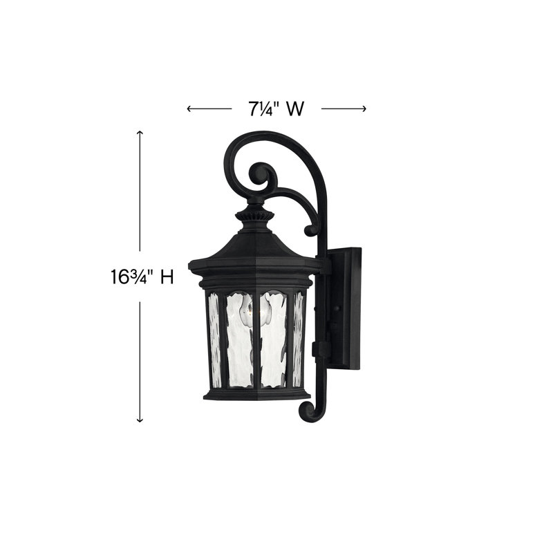 Raley Museum Black 1 - Bulb Outdoor Wall Lantern, Incandescent