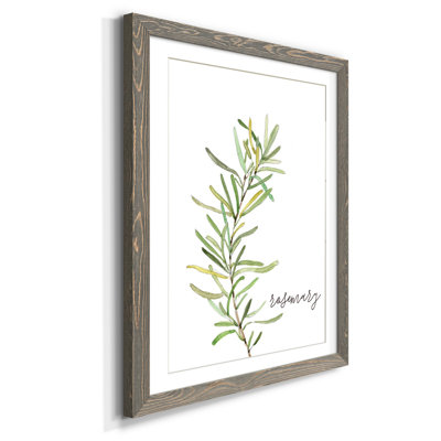 " Fresh Sprig Rosemary " Painting Print
