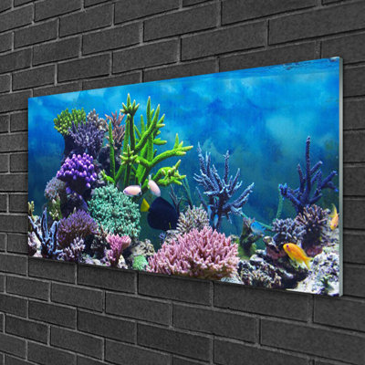 Coral Reef Nature - Unframed Photograph on Glass