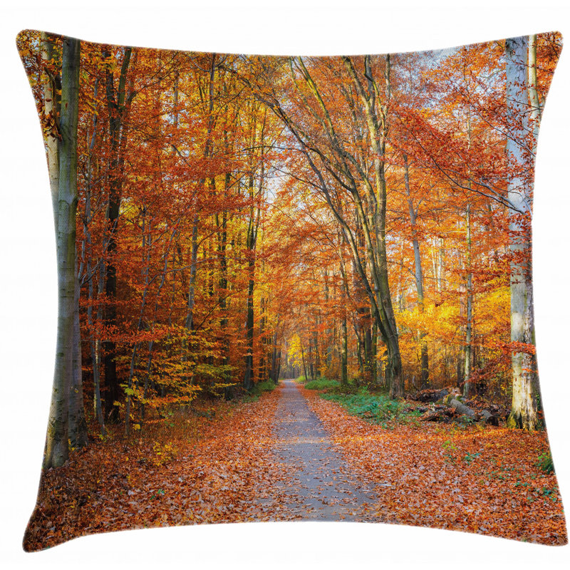 Housse de coussin, 26 po x 26 po