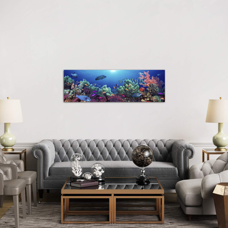 School Of Fish Swimming Near A Reef, Indo-Pacific Ocean - Wrapped Canvas Panoramic Print