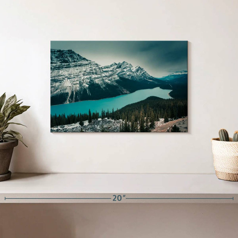 Alvord Peyto Lake, H 8 po x l 12 po