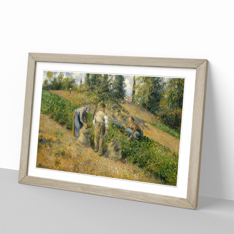 The Harvest by Camille Pissarro - Picture Frame Painting, Oak, 36cm H x 48cm W x 2cm D