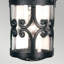 Talia LED Outdoor Hanging Lantern