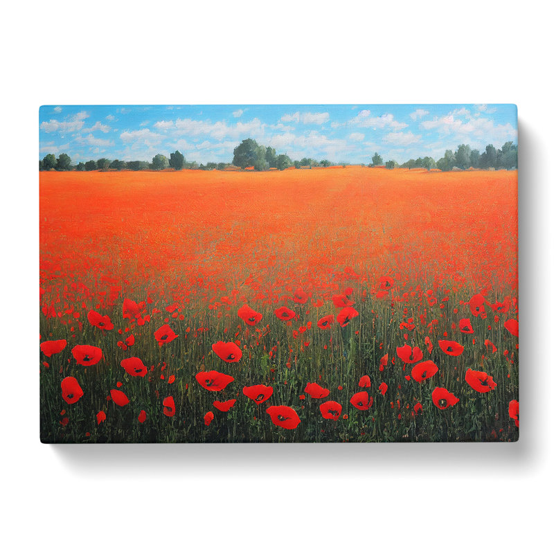 Soothing Poppy Field Flowers - Wrapped Canvas, 35cm H x 50cm W x 3cm D