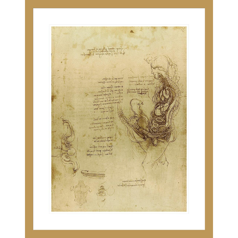 Étude de la coition d'un homme et d'une femme hémisectés par Leonardo Da Vinci - Impression Giclée encadrée