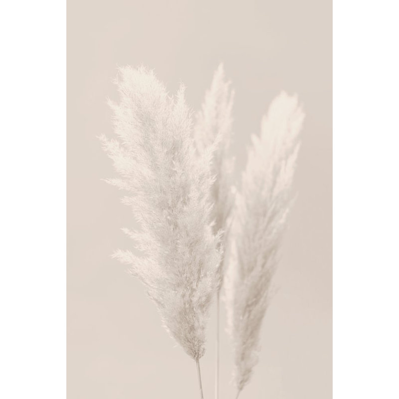 Wrapped Canvas Print, 50.8cm H x 76.2cm W