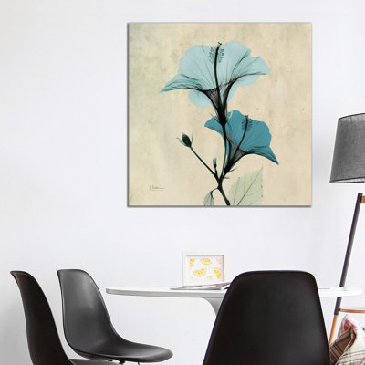Hibiscus Blue by Albert Koetsier - Wrapped Canvas Gallery-Wrapped Canvas Giclée
