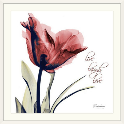 «tulip live, rire, love x-ray par albert koetsier,, reproduction de photo