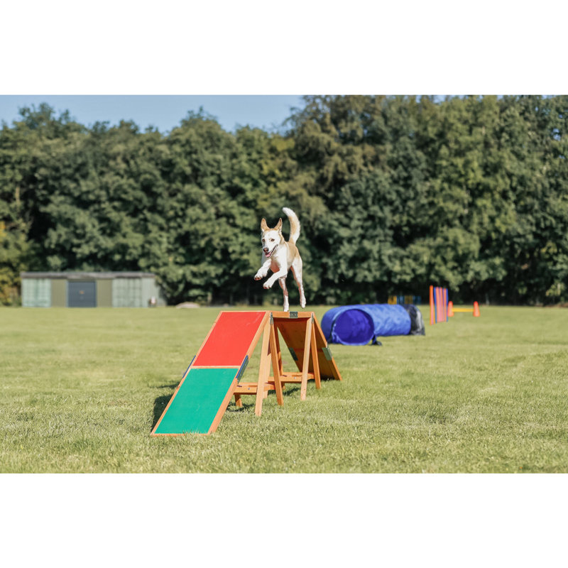 TRIXIE Large Outdoor Dog Agility Training Dogwalk