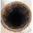 Lesli Glass Pot Planter