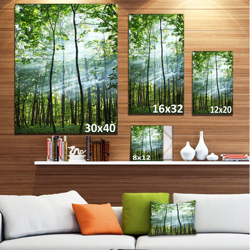 Reproduction de photo sur toile tendue - Forêt ensoleillée, H 40 po x l 20 po x P 1po