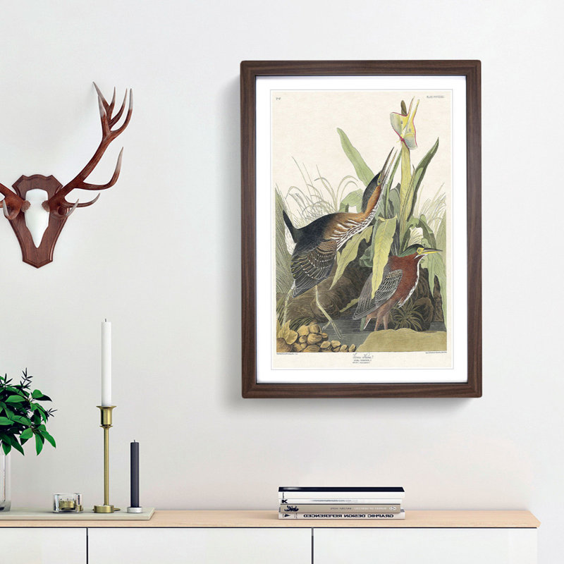 Green Heron by John Audubon - Picture Frame Painting Print, Walnut Framed, 65cm H x 48cm W x 2cm D