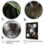 Gris Koala Climber 1 - Koala Animal, art mural-1693742856-1693742850