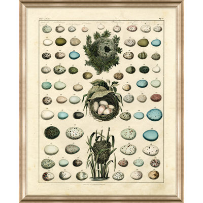 Nest and Eggs I Framed Graphic Art