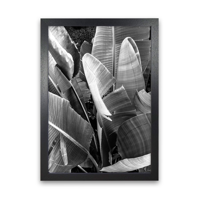 Palms Leafs by Victoria Frost - Print, 88cm H x 64cm W x 3cm D, Black Framed