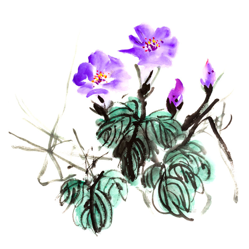 Morning Glory Flowers par Vii-Photo, H 36 po x l 36 po