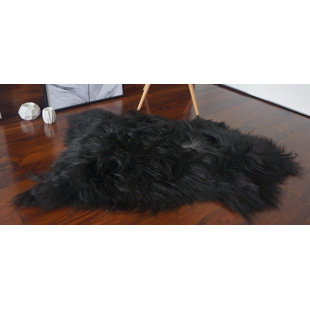 Indoor Rug