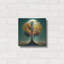 «Tree Of Life 32» par Ray Heere-719953933
