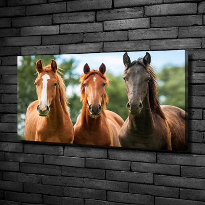 Three Horses - Print