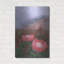  «In The Eye Of The Beker Proteas» par Delene Lambert, art mural en métal, 24 po x 36 po-1994698868