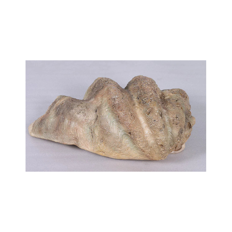 Statue de coquillages Calyce