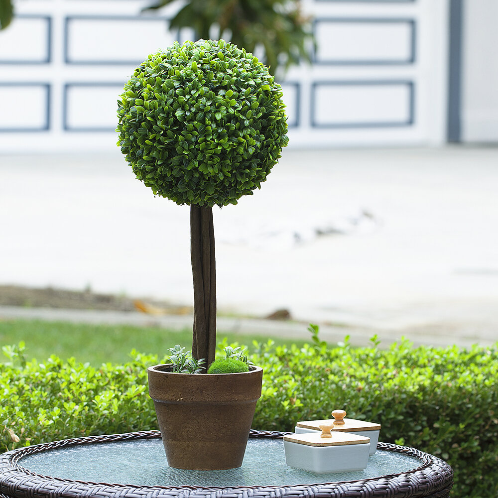 Primrue 22'' Faux Boxwood Topiary in Pot | Wayfair