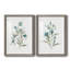 Linen Botanical III - ensemble de 2 reproductions d'art-1345068790-1345068788-1345068775