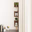 Aydali 5 Piece Corner Shelf-474698463-435665349