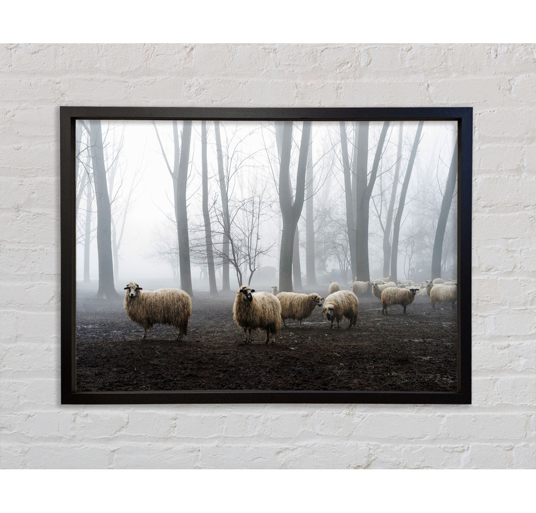 Sheep Forest - Einzelner Bilderrahmen Kunstdrucke auf Leinwand