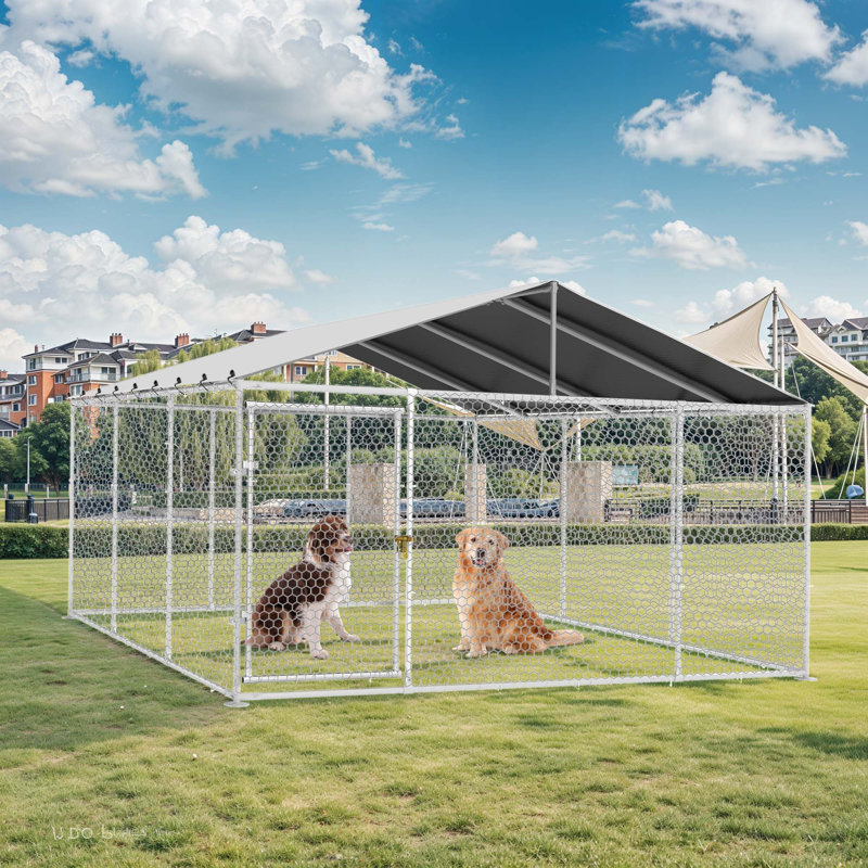Enclos pour chien Balconera, H 90 po x l 176,4 po x P 176,4 po