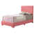 Rose n'est pas disponible