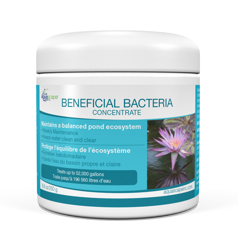 Bactéries bénéfiques pour les étangs