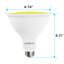8 watts (45 watts équivalents), DEL PAR38, ampoule à DEL colorée, culot moyen E26 (standard)-73484792-128880035