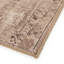 Nala Area Rug in Nala-1930712731-1930712732
