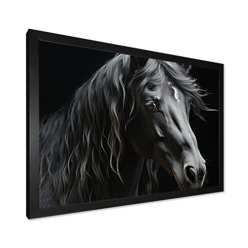 Black White Horse Portrait - Animals Canvas Prints, H 16 po x l 32 po x P 1 po, Cadre photo noir