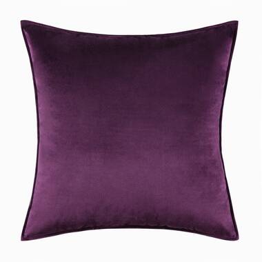 https://assets.wfcdn.com/im/23797414/resize-h380-w380%5Ecompr-r70/1605/160596693/Christene+Velvet+Throw+Pillow.jpg