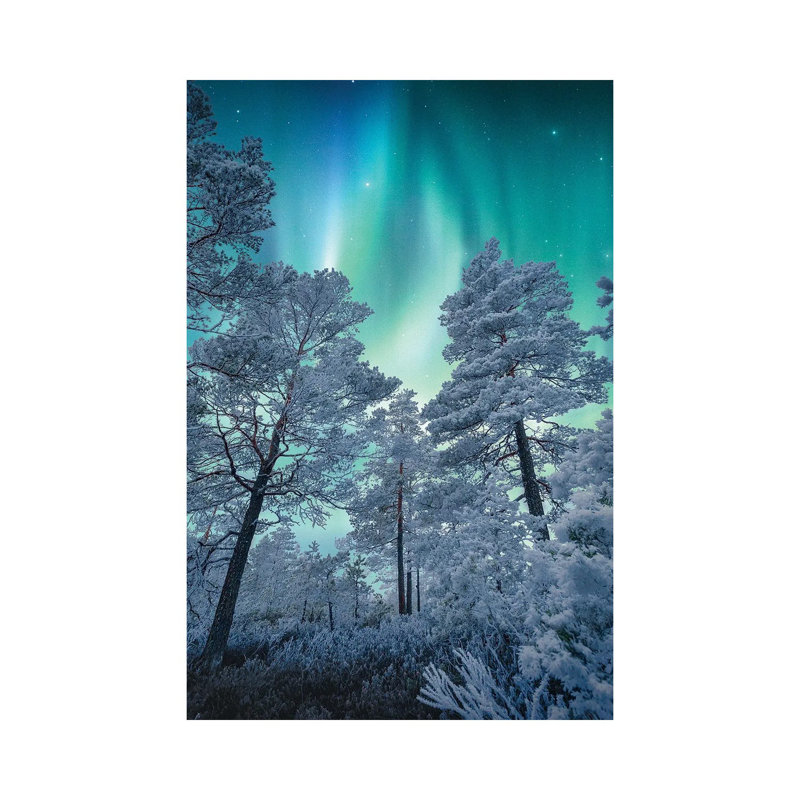 Winter Magic 1 Piece Wrapped Canvas Painting, 30.48 cm H x 45.72 cm W