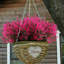 Arrangements floraux-933419697