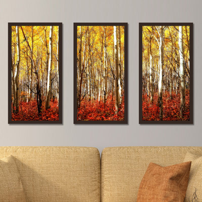 " Birch Trees " 3 - Pieces