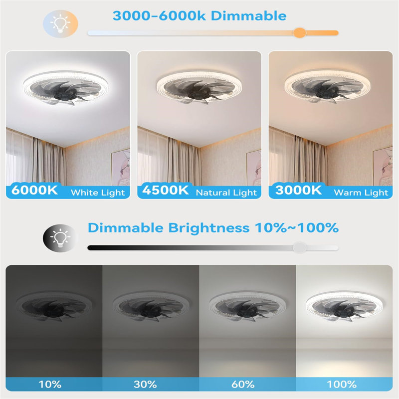 Ceiling Fan with LED Lights