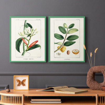 Turpin Tropical Botanicals IX-Premium Framed Print -Ready to Hang - No Nails Required - No Nails Required
