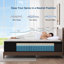 Matelas hybride mi-ferme 14 po avec mousse à mémoire de forme et ressorts ensachés, matelas dans une boîte-431244429-431244418