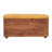 Buffalo Hide Caramel Storage Trunk-108808801
