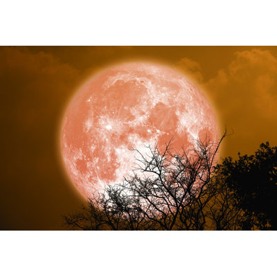 " Moon In Night Sky " by Chayanan