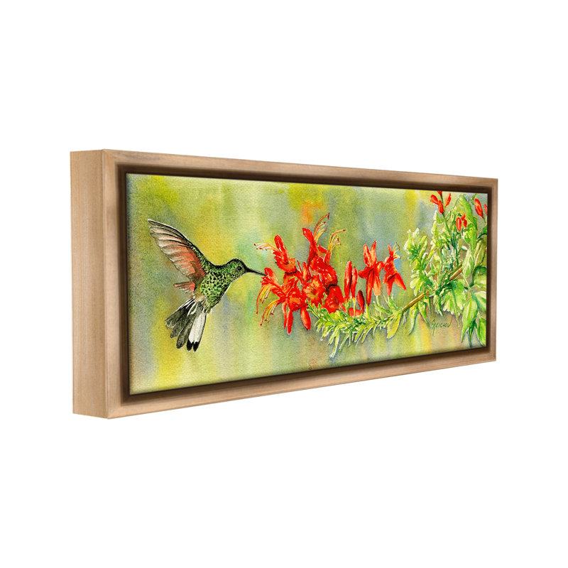 «Hummingbird And Lilies» par Christine Reichow sur, Cadre flottant orme Montalcino, H 11 po x l 25 po