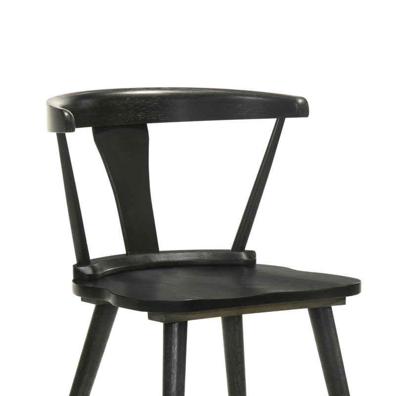 2 Pieces Set Dining Side Chair Rustic Modern Farmhouse Design Retro Design Easy To Assembly, Black